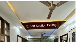 Expert Section Ceiling