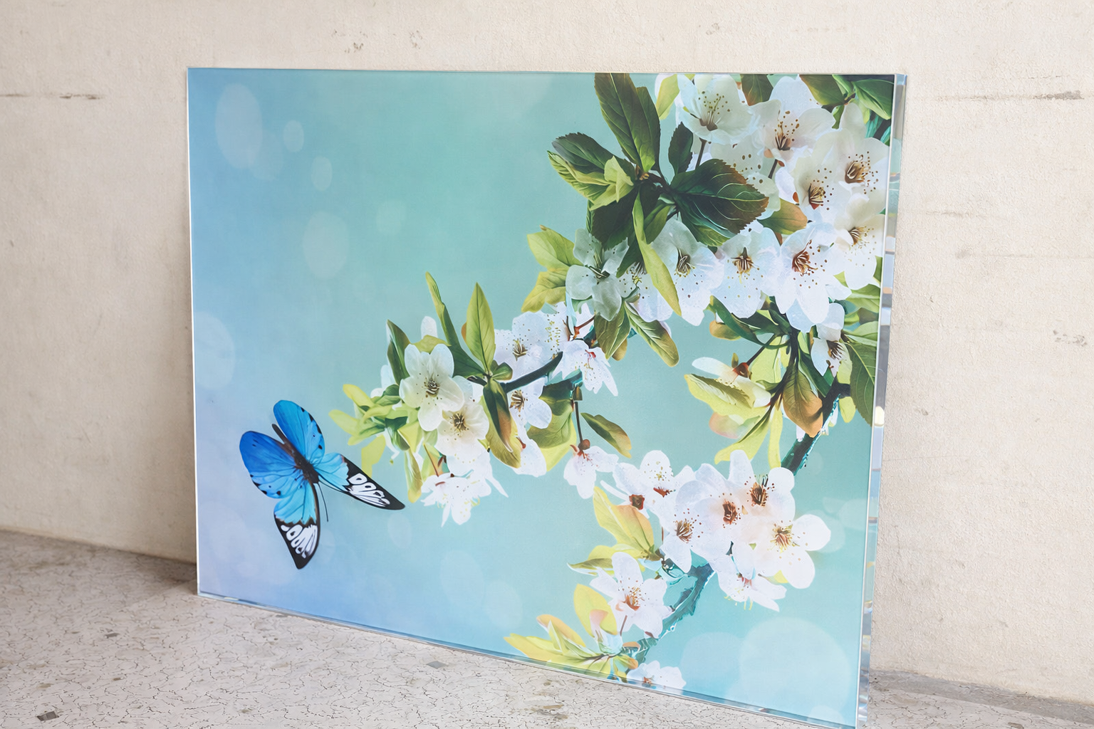 Durable Acrylic Sheets for External Building Design